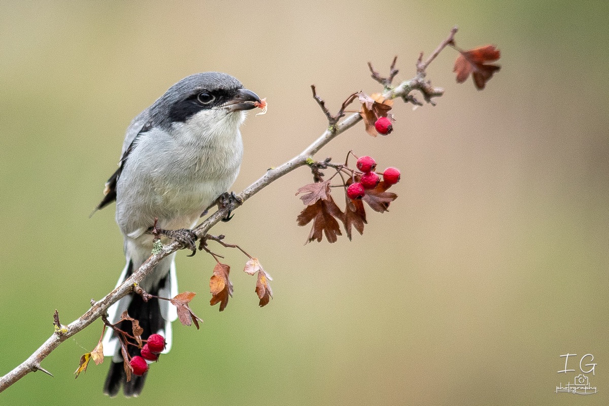 AK6I1992 31 oktober 2021 1547 11